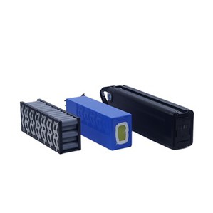 Batería de bicicleta eléctrica de 48 V y 3 ruedas